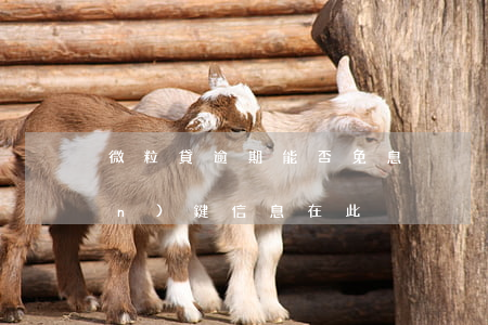 微粒貸逾期能否免息？關(guān)鍵信息在此！